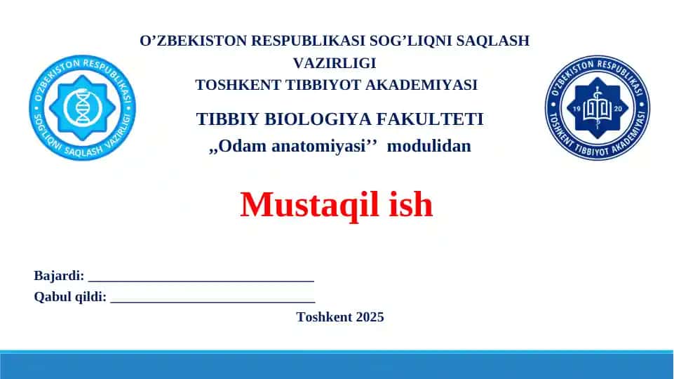 Orqa miya o’tkazuv yo’llari. Taqdimot 19 bet.