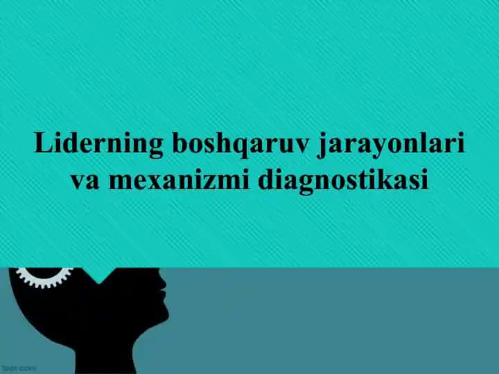 Liderning boshqaruv jarayonlari va mexanizmi diagnostikasi