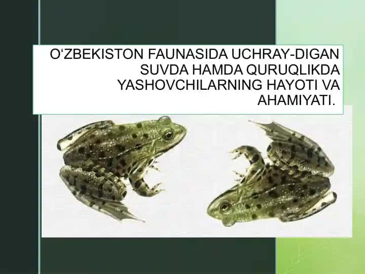 O‘ZBEKISTON FAUNASIDA UCHRAY-DIGAN SUVDA HAMDA QURUQLIKDA YASHOVCHILARNING HAYOTI VA AHAMIYATI
