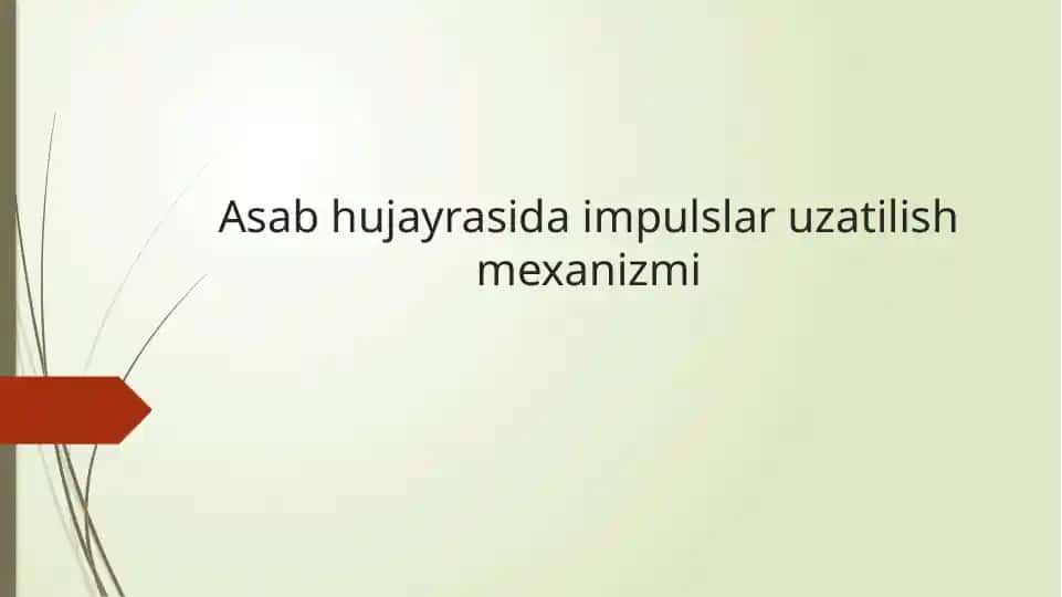 Nerv Impulsi