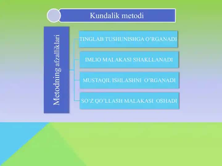 Yangi metod-Kundalik metodi