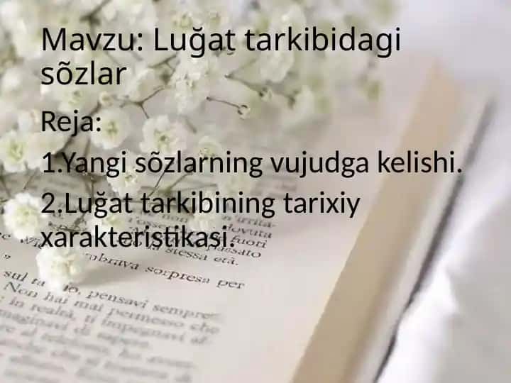 Luğat tarkibidagi sõzlar