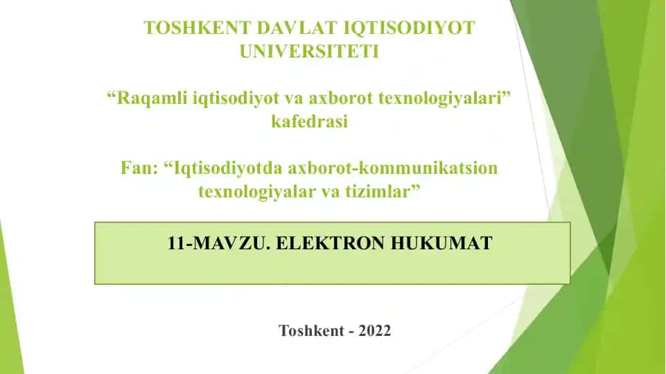 Elektron hukumat