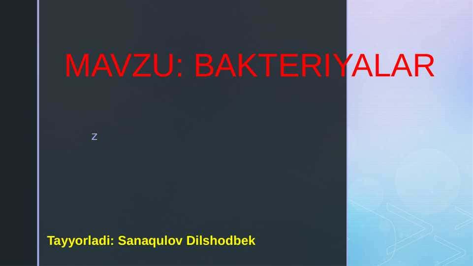 Bakteriya