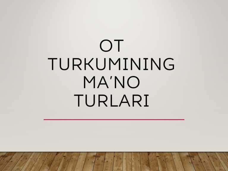 Ot turkumining ma‘no turlari
