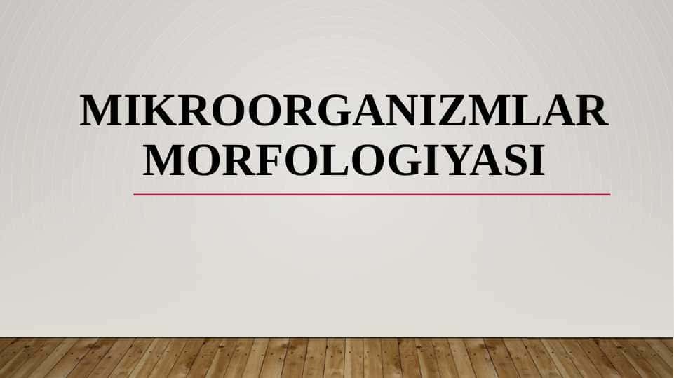 Mikroorganizmlar, ularning turlari hamda qoʼllanilish sohalari