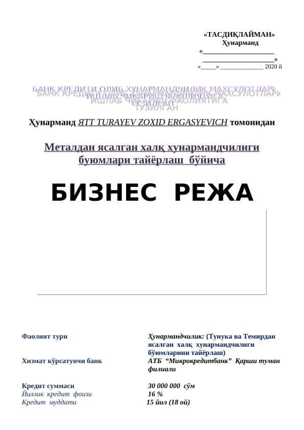 biznes reja: darvoza biznesi (namuna)