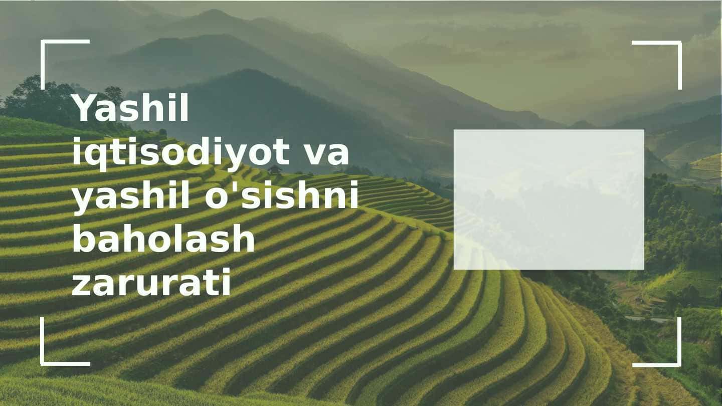 Yashil iqtisodiyot va yashil o'sishni baholash zarurati