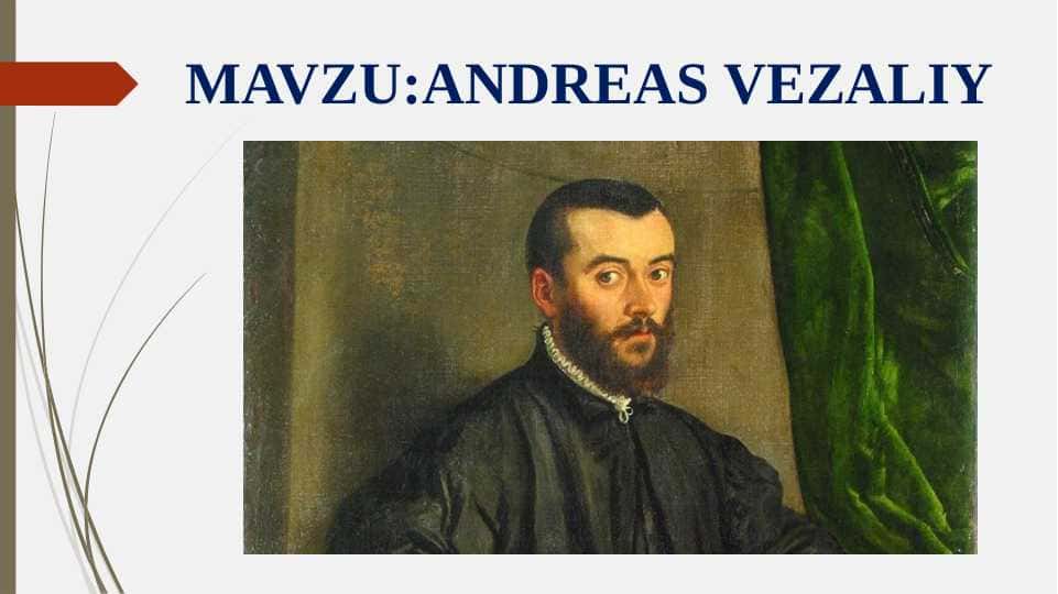 ANDREAS VEZALIY