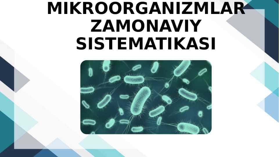 MIKROORGANIZMLAR Zamonaviy SISTEMATIKASI