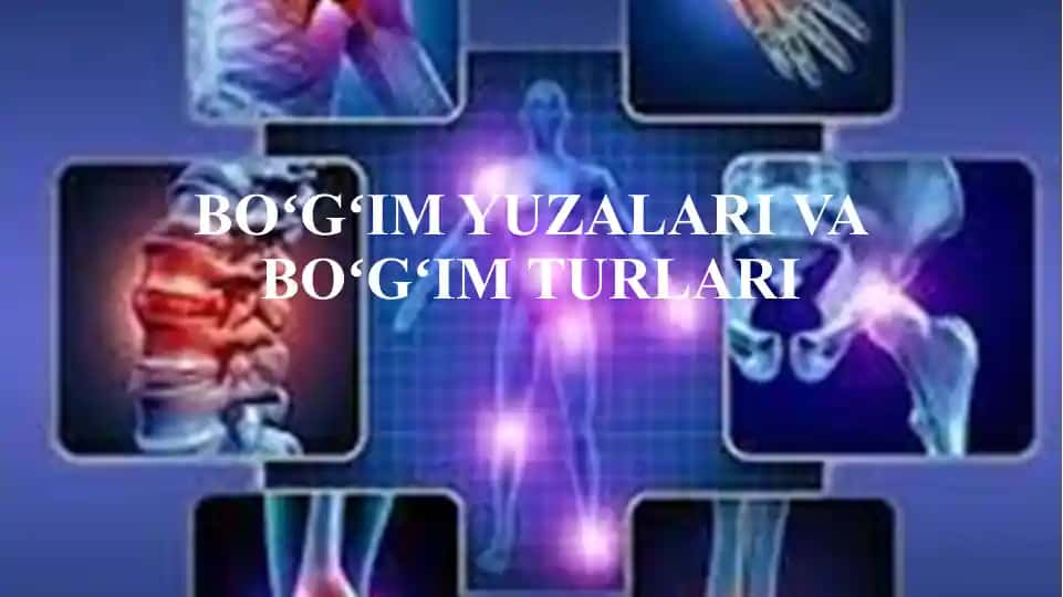 Boʻgʻimyuzalar va boʻgʻim turlari