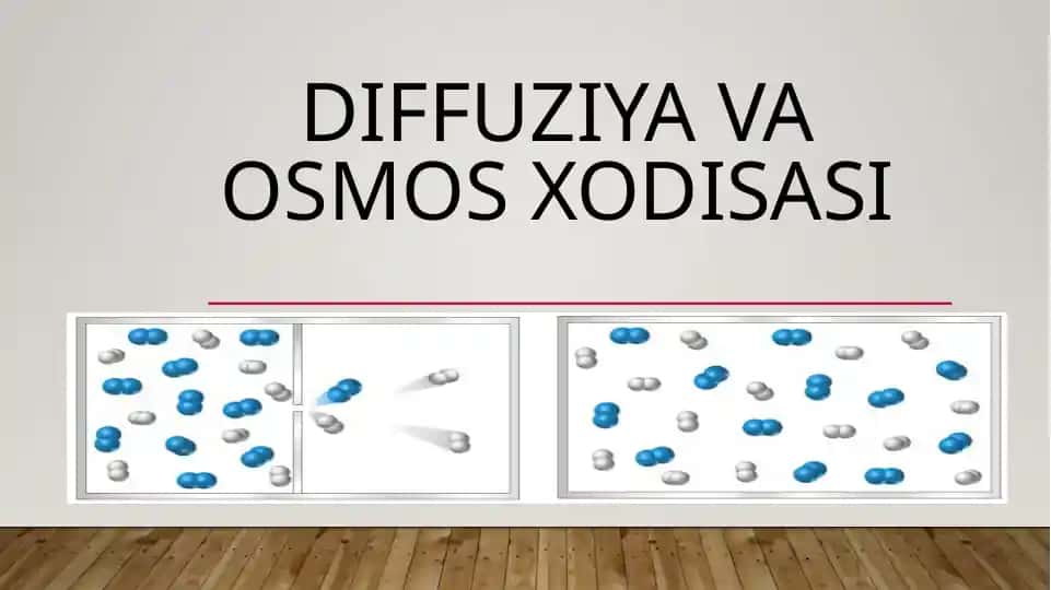 Diffuziya va osmos xodisasi haqida slayd