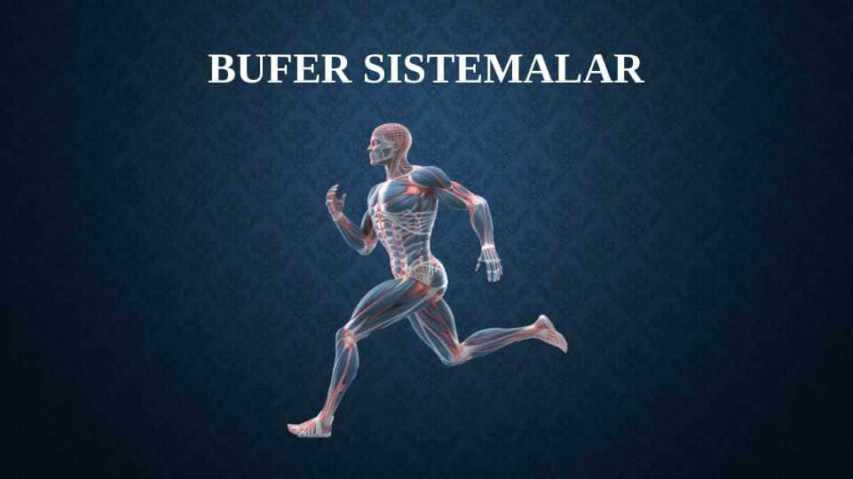BUFER SISTEMALAR
