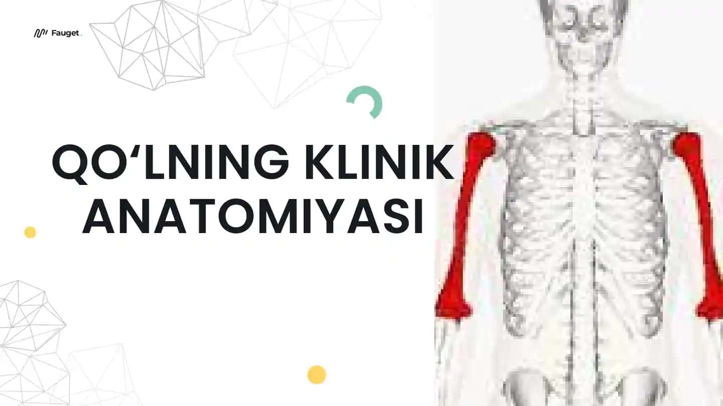 qo`lning klinik anatomiyasi