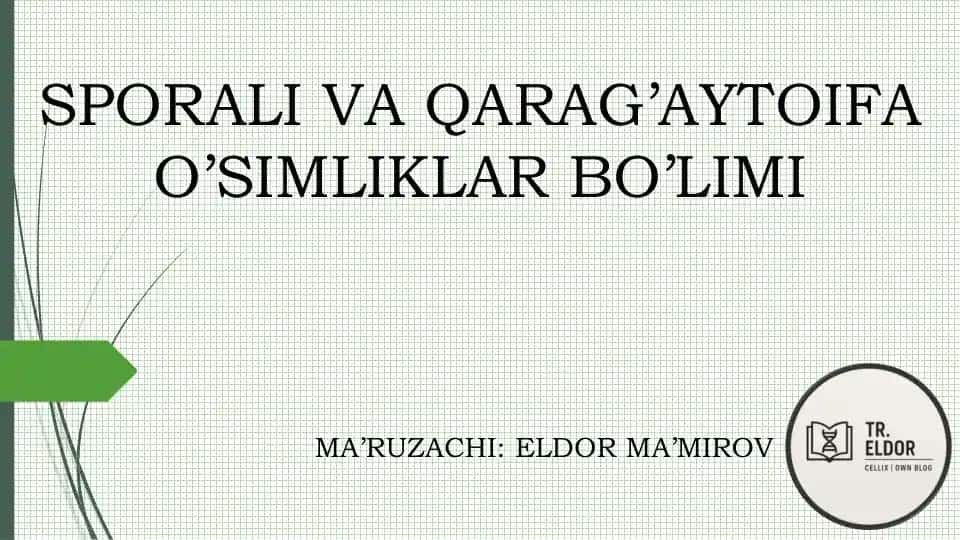 Sporali o'simliklar va ochiq urug'li o'simliklar bo'limi