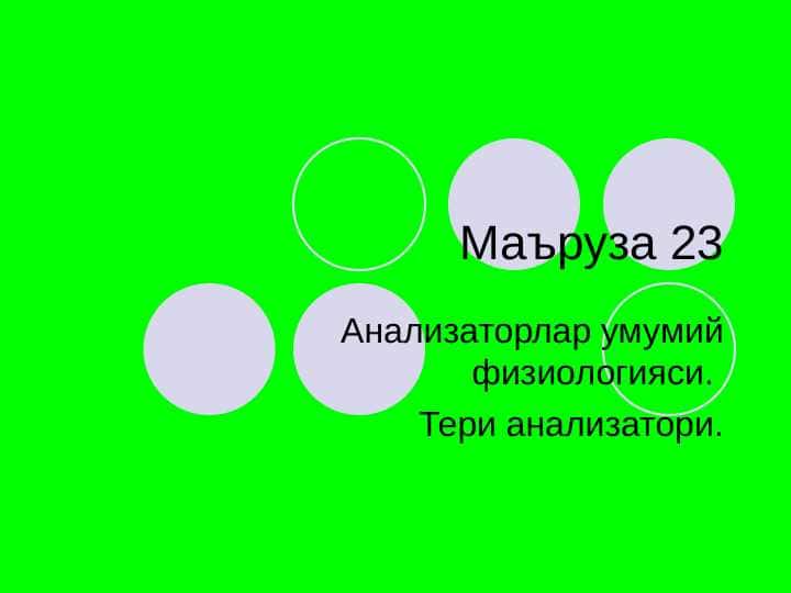 Analizatorlar , Analizatorlar fiziologiyasi , Teri analizatorlari
