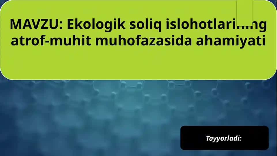 Ekologik soliq islohotlarining atrof-muhit muhofazasida ahamiyati