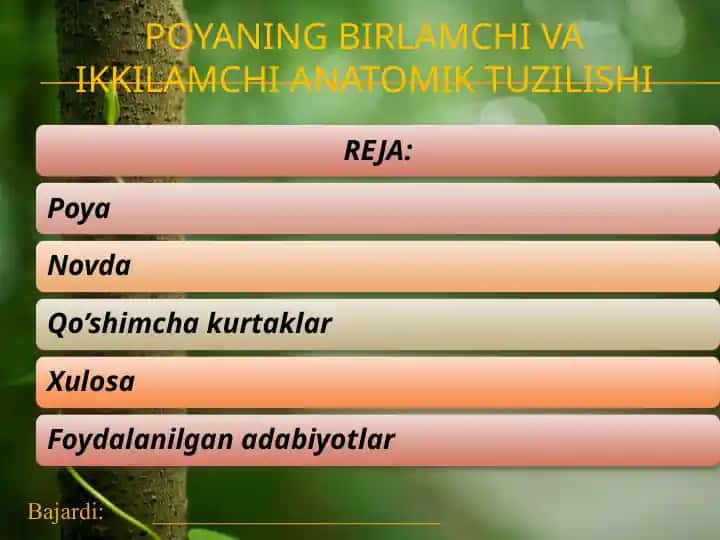 Poyaning birlamchi va ikkilamchi anatomik tuzilishi