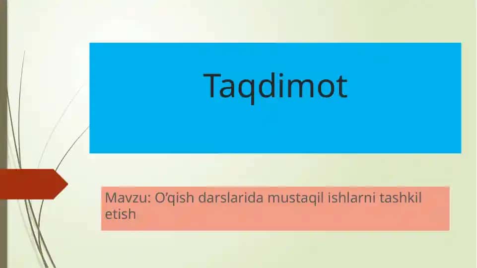 Mustaqil ish tashkil etish