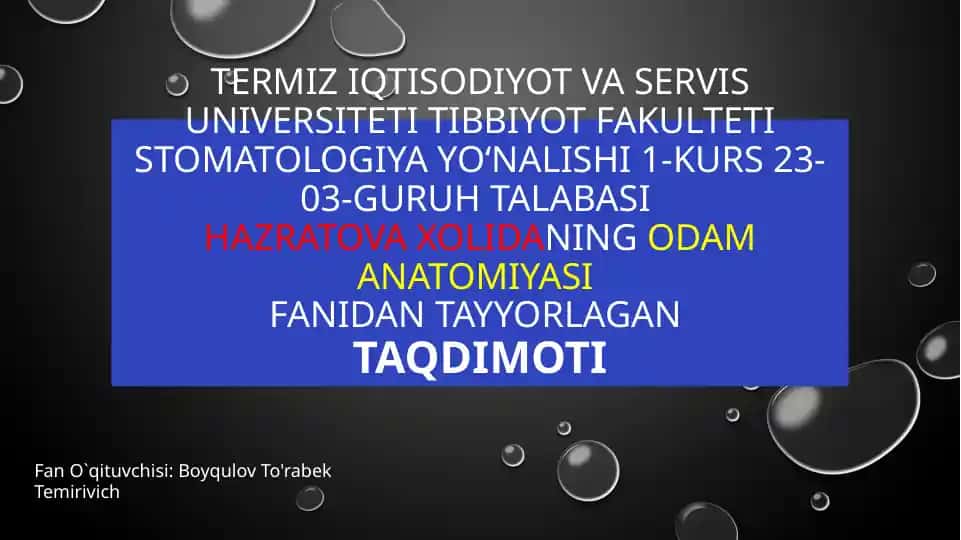 Timus tuzilishi, taraqqiyoti va vazifasi