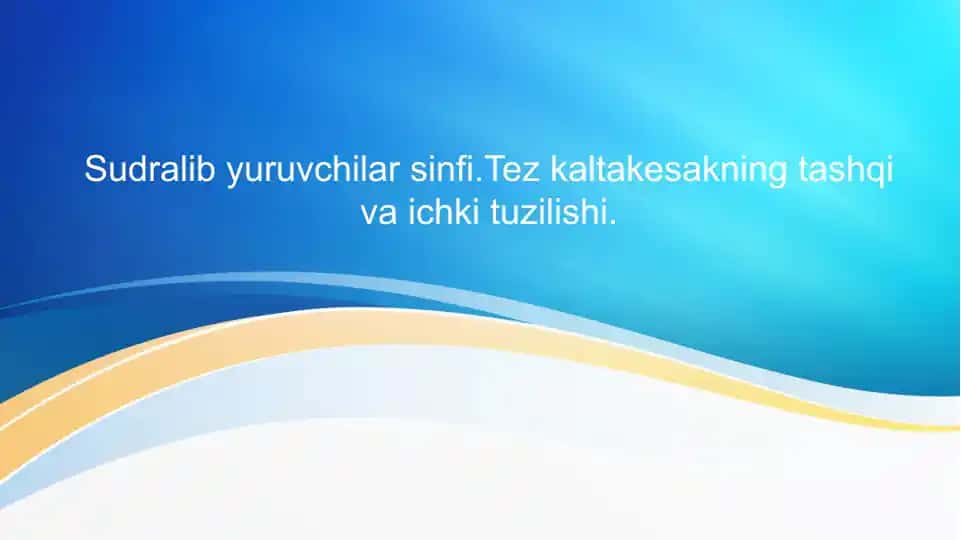 Sudralib yuruvchilar sinfi