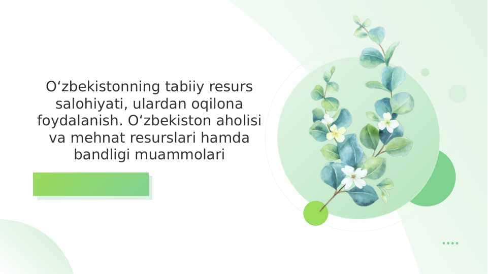 O‘zbekistonning tabiiy resurs salohiyati, ulardan oqilona foydalanish. O‘zbekiston aholisi va mehnat resurslari hamda bandligi muammolari