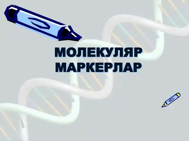 Molekulyar markerlar