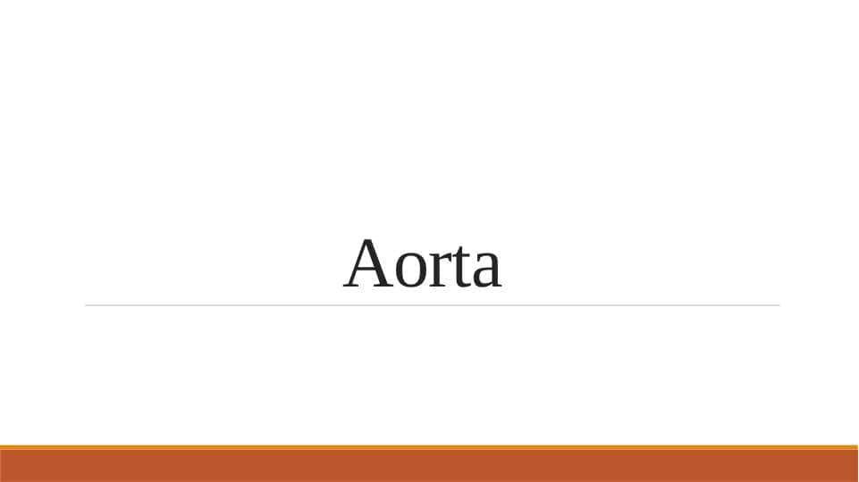 Aorta