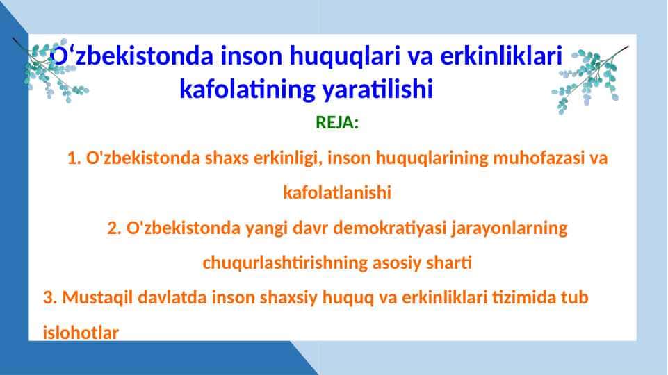 Oʻzbekistonda inson huquqlari va erkinliklari kafolatining yaratilishi