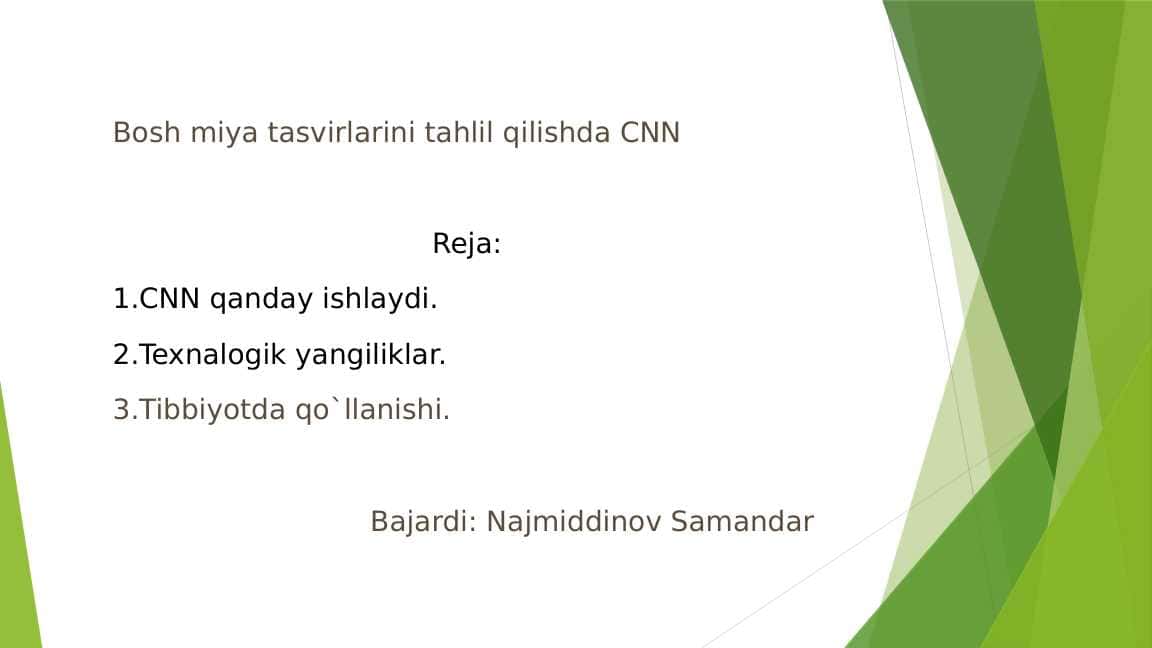 BOSH MIYA TASVIRLARINI TAHLIL QILISHDA CNN.