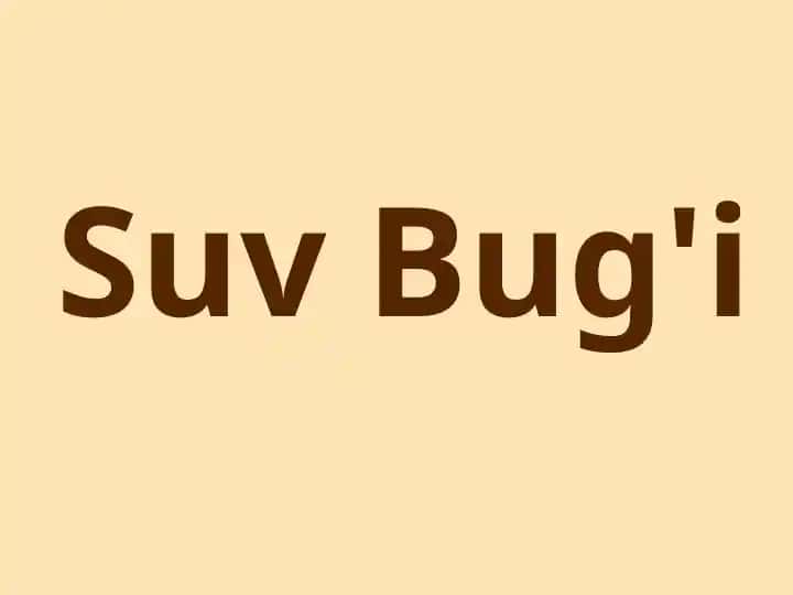Suv Bug'i