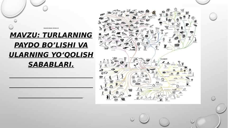 Turlarning paydo bo'lishi va ularning yo'qolish sabablarit