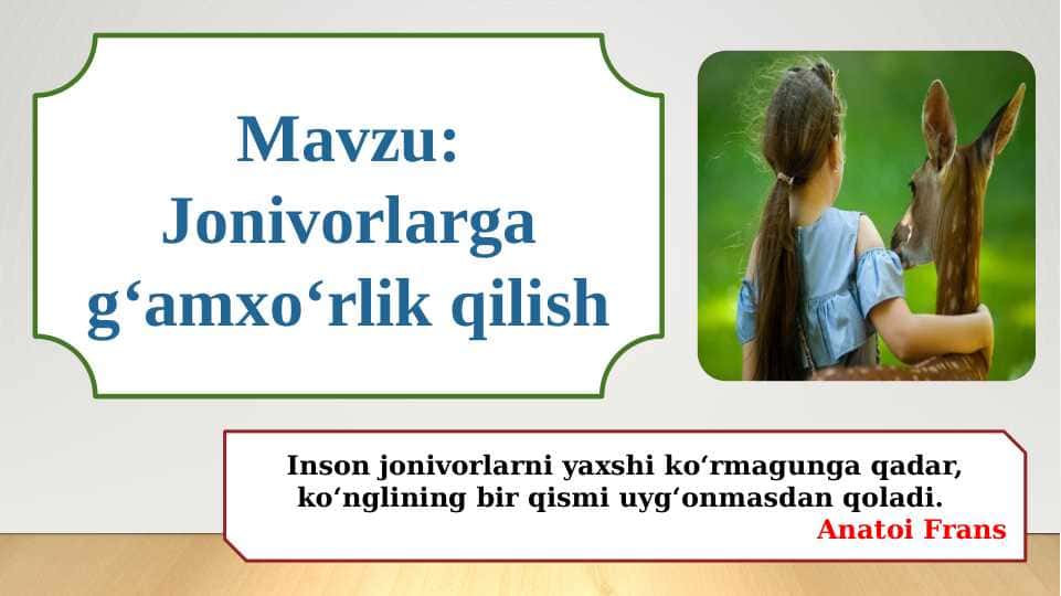 Jonivorlarga g‘amxo‘rlik qilish