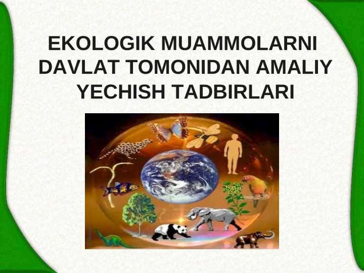 EKOLOGIK MUAMMOLARNI DAVLAT TOMONIDAN AMALIY YECHISH TADBIRLARI