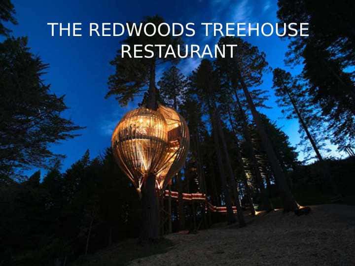 The Redwoods Treehouse Restaurant