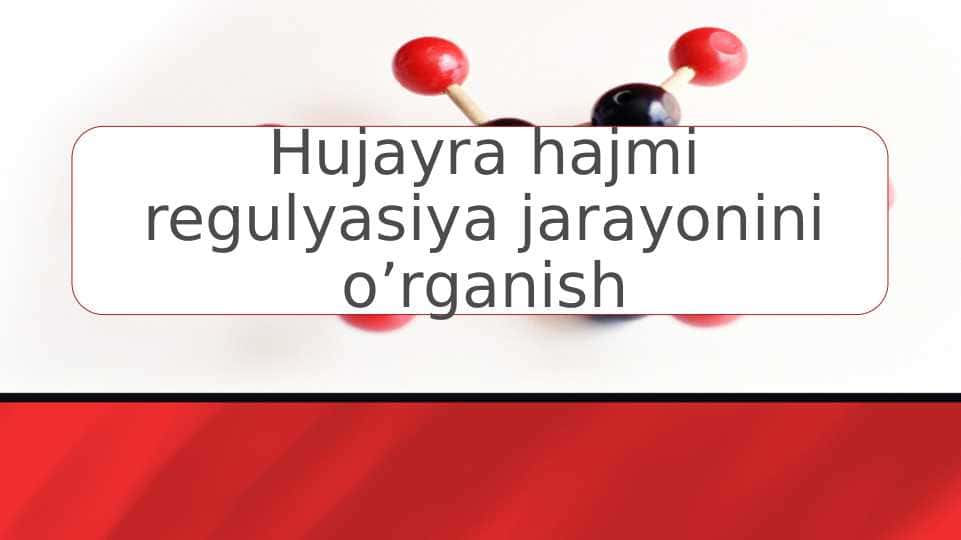 Hujayra hajmi regulyasiya jarayonini o’rganish