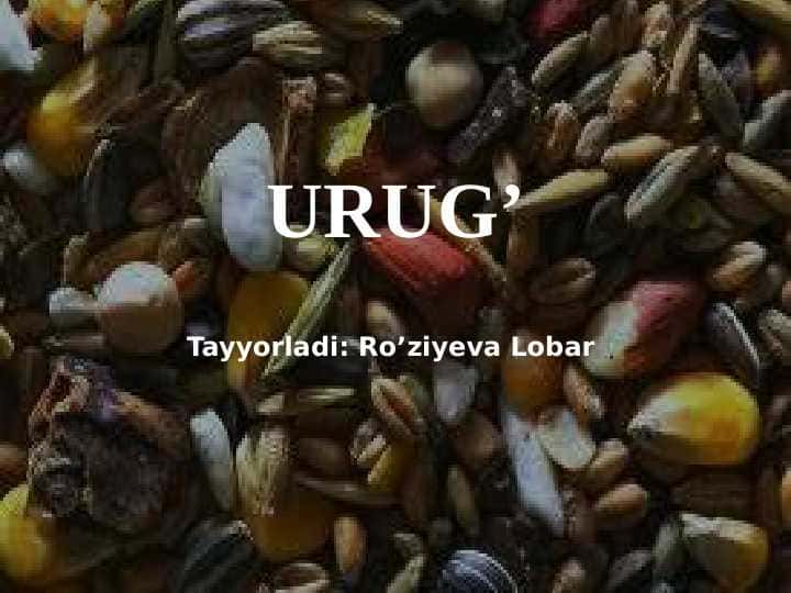 URUG’