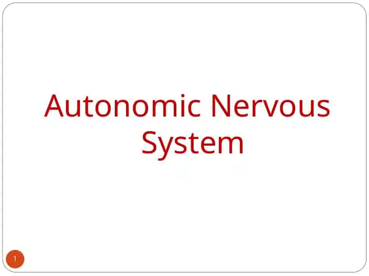 Autonomic Nervous System