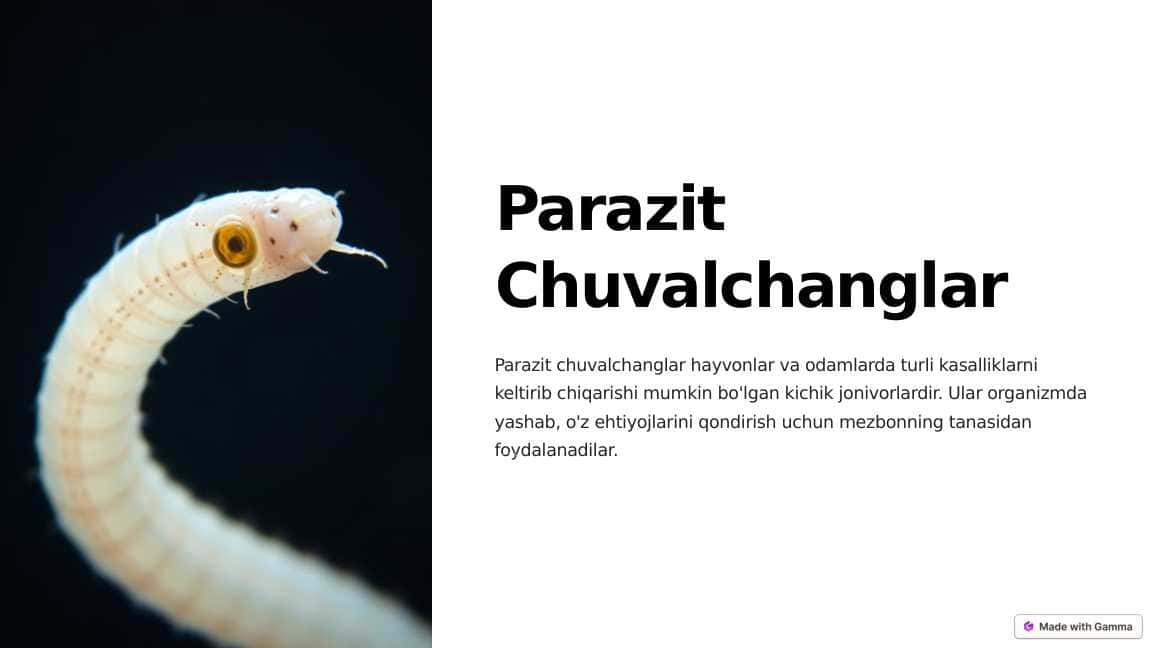 Parazit chuvalchanglar