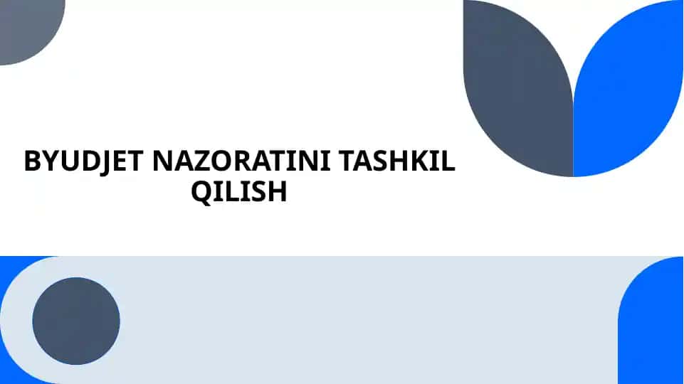 Byudjet nazoratini tashkil qilish