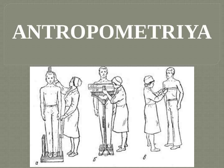 ANTROPOMETRIYA