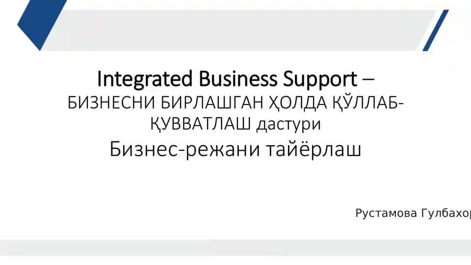 Integrated Business Support – БИЗНЕСНИ БИРЛАШГАН ҲОЛДА ҚЎЛЛАБ-ҚУВВАТЛАШ дастури