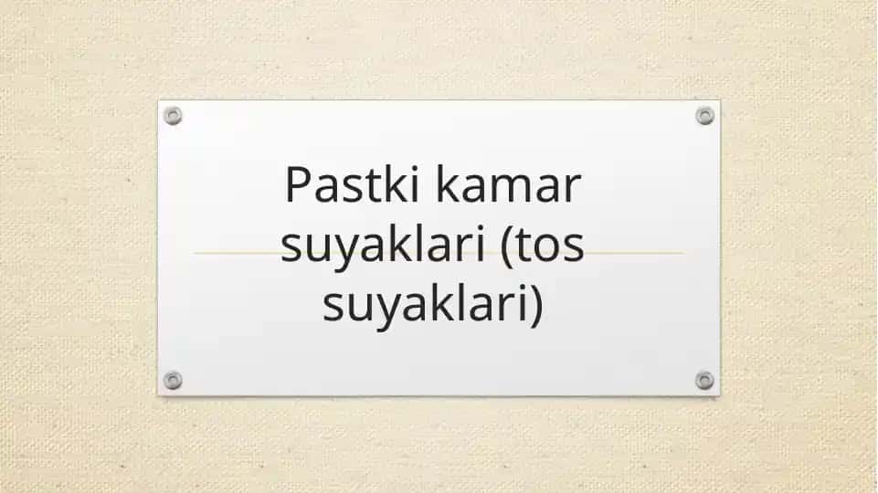 Pastki kamar suyaklari (tos suyaklari)