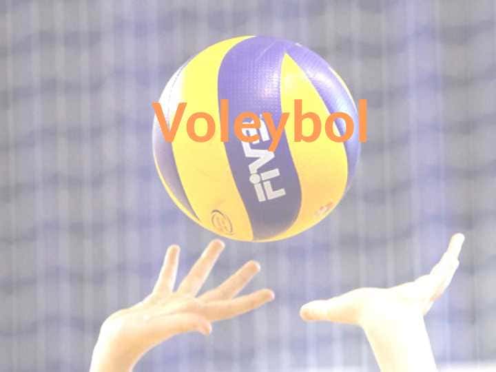 Voleybol