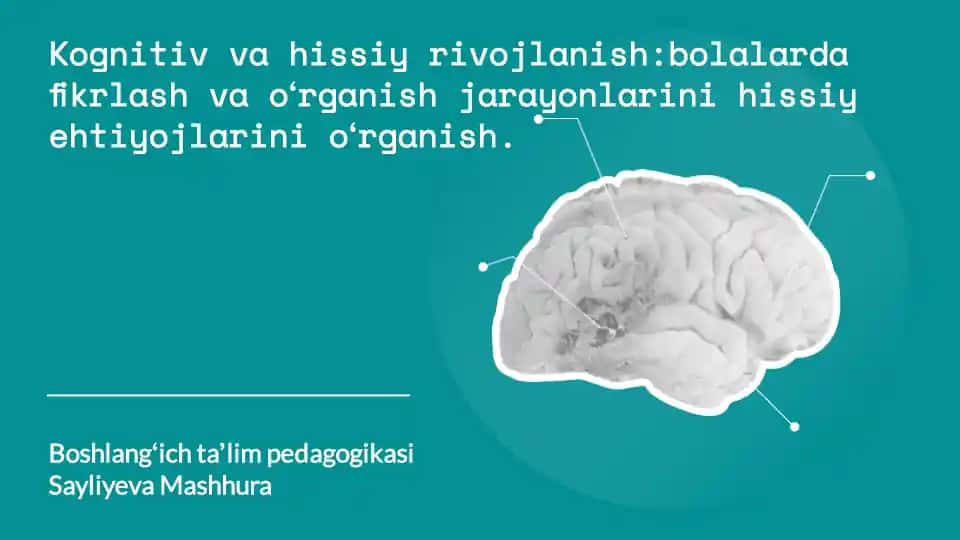 Boshlangʻich taʼlim pedagogikasi