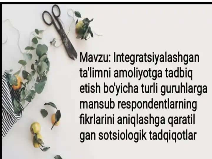 Integratsiyalashgan ta’limni amaliyotga tadbiq etish