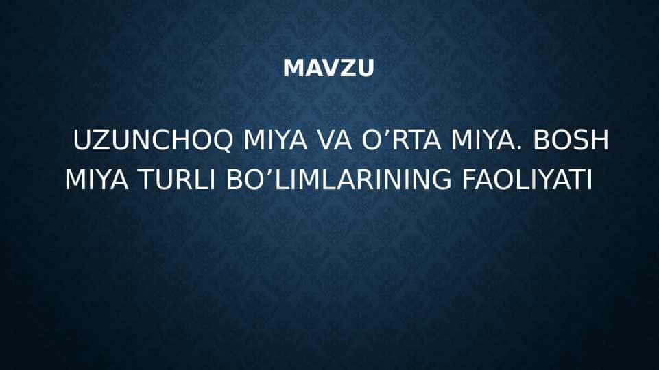 UZUNCHOQ MIYA VA O’RTA MIYA. BOSH MIYA TURLI BO’LIMLARINING FAOLIYATI