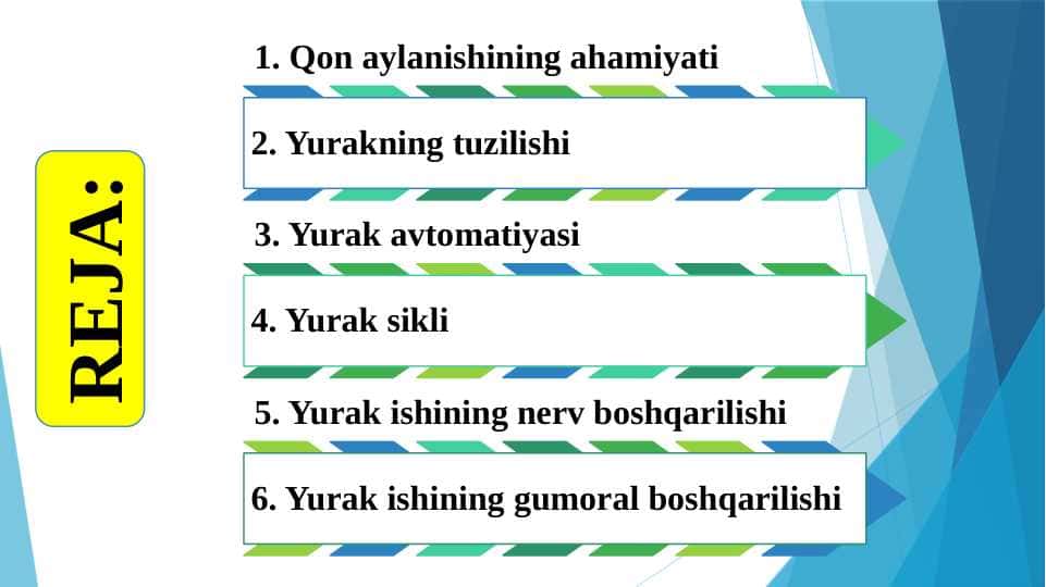 Yurak tuzilishi