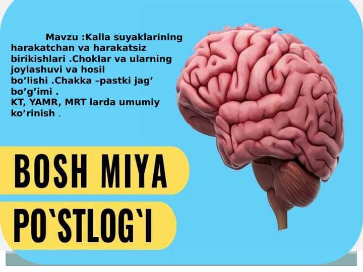 Kalla suyaklarining harakatchan va harakatsiz birikishlari .Choklar va ularning joylashuvi va hosil bo’lishi .Chakka –pastki jag’ bo’g’imi . KT, YAMR, MRT larda umumiy ko’rinish