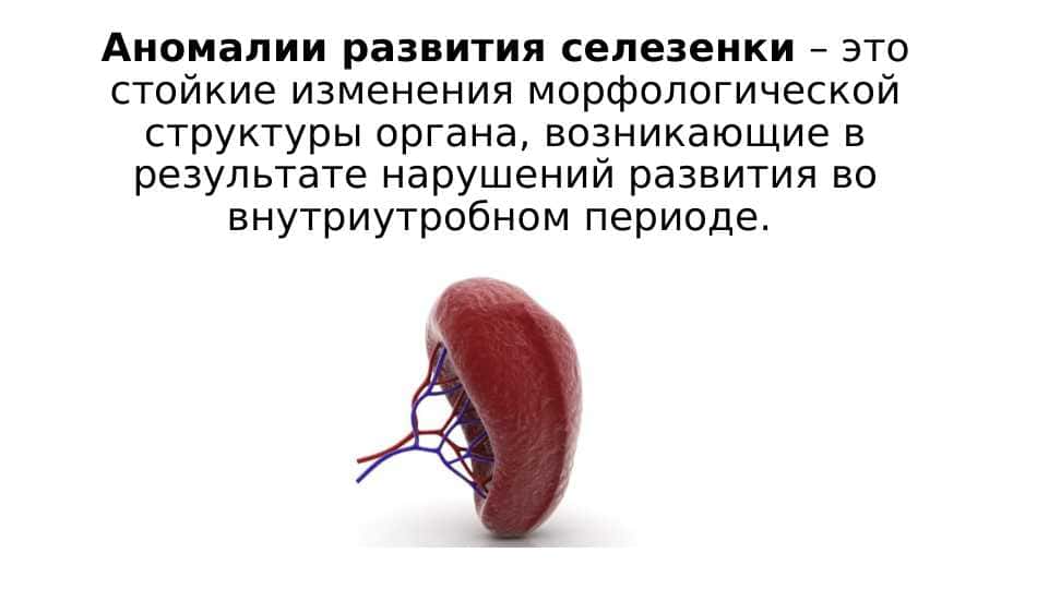 Taloq tug'ma nuqsonlari